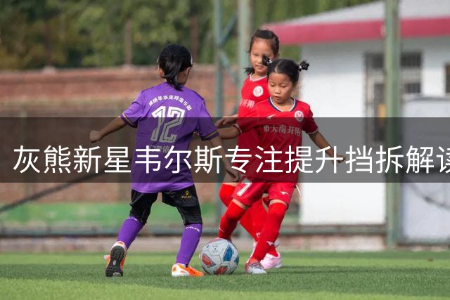 灰熊新星韦尔斯专注提升挡拆解读能力